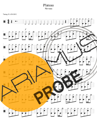 Nirvana Plateau score for Schlagzeug